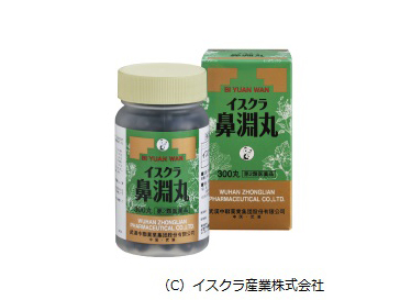 鼻淵丸（びえんがん） 第2類医薬品